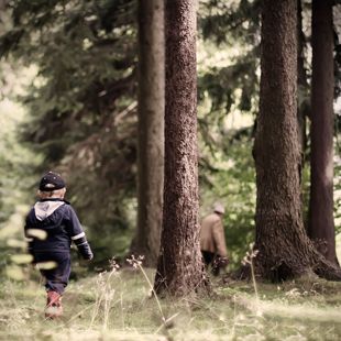 La Ribera del Huéznar